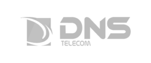 dns